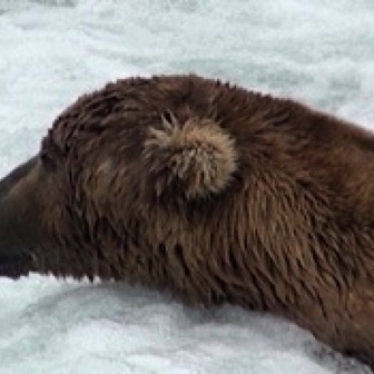 Screen Shot 2016-07-08 at 9.18.13 PM.jpg